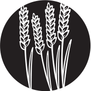 icone épis de blé