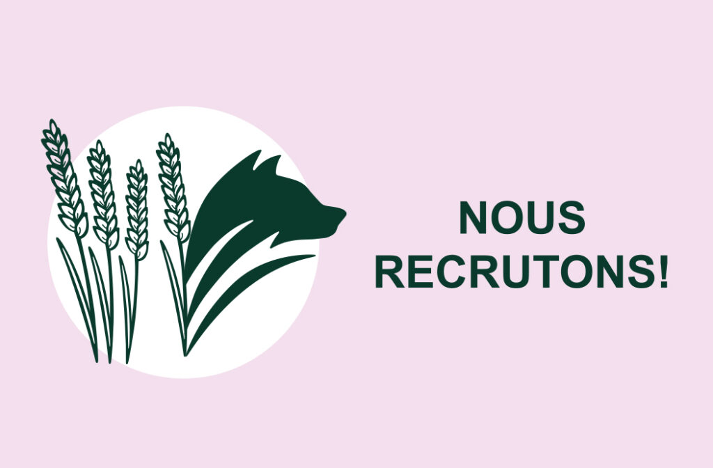 Recrutement